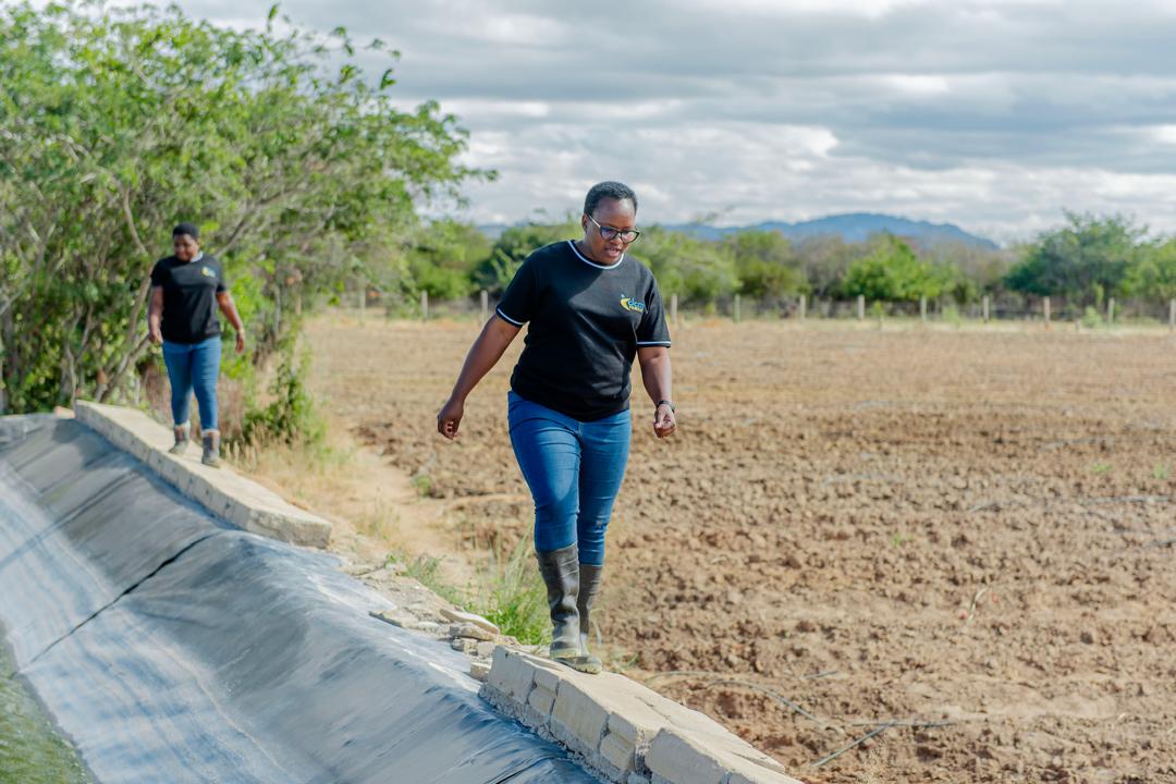 Agricultural team walking through farm operations
