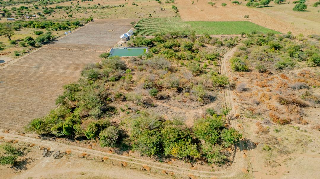 Aerial view of agricultural land in Tanzania